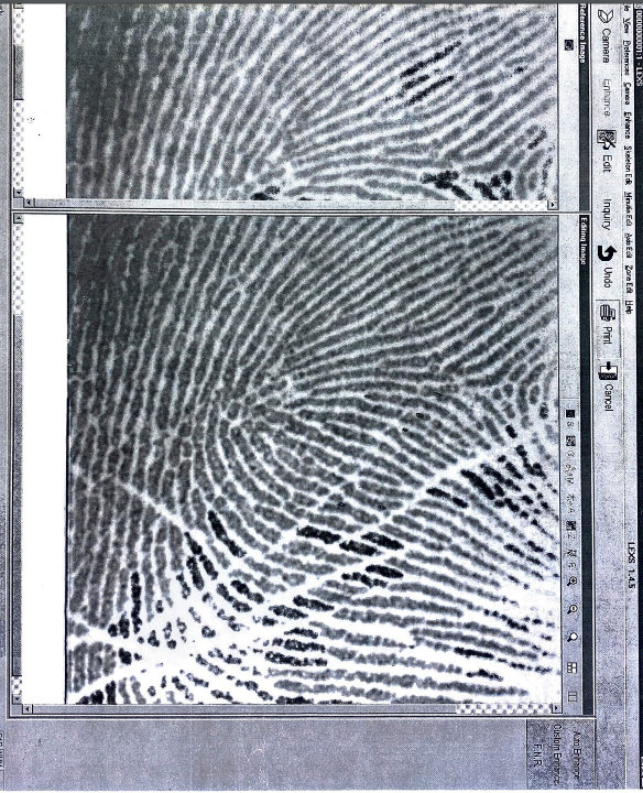 fingerprint evidence